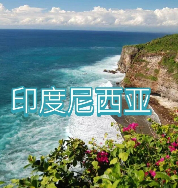 电商(印尼)产业博览会新葡京2025中国