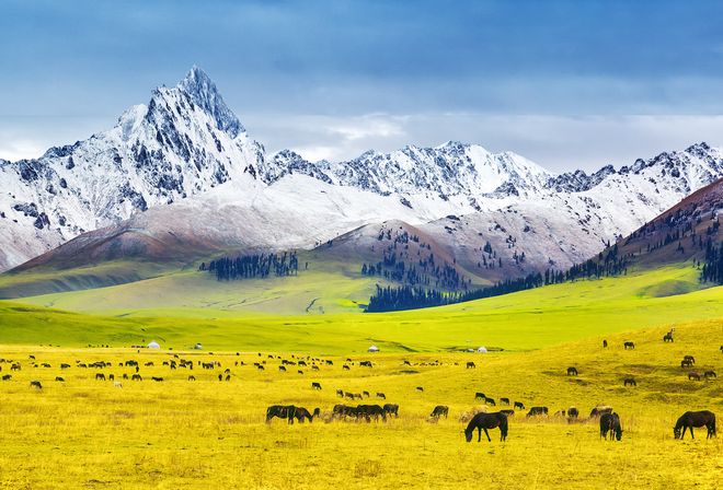 十大必去景点纯玩跟团旅行社前十指南新葡京网上赌场新疆旅游15天费用?(图4) 十大必去景点纯玩跟团旅行社前十指南新葡京网上赌场新疆旅游15天费用?(图4)