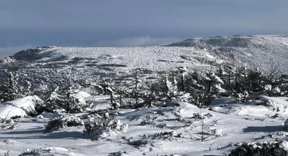 户外徒步事故频发新葡京事故警示(图5)